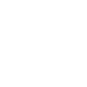 Experience & Expertise icon