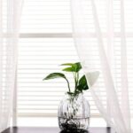 Discover The Benefits Of Sheer Curtains In Your Home