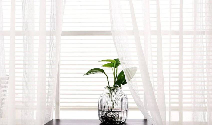 Discover The Benefits Of Sheer Curtains In Your Home