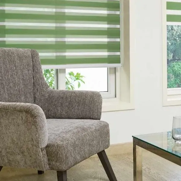Luxury Zebra duplex blinds