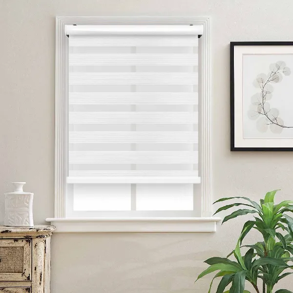 Zebra Window Blinds with Modern Design