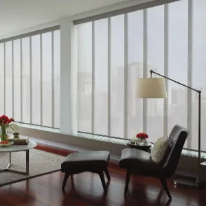 Panel window blinds for office