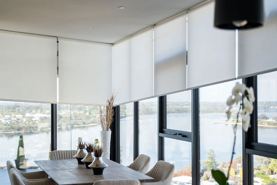 Premium Smart Window Shades