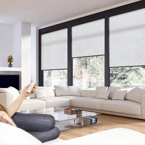 Remote Control window blinds