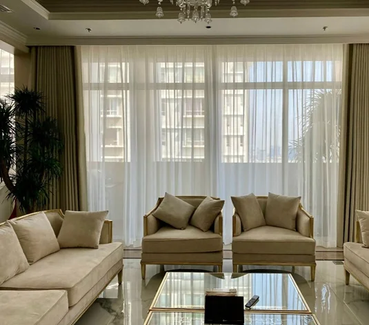Double Layer Living room Curtain